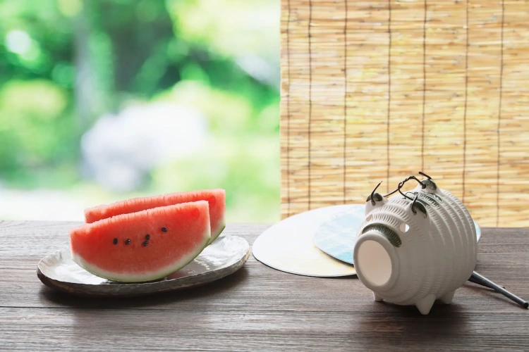 すだれの選び方は?夏に大活躍のおすすめ遮熱すだれをご紹介
