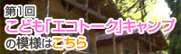 第1回こども「エコトーク」キャンプの模様はこちら