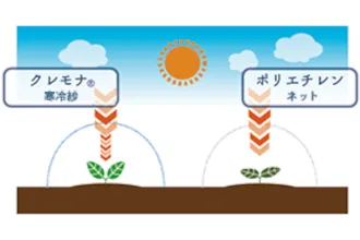 図1：適度な遮光