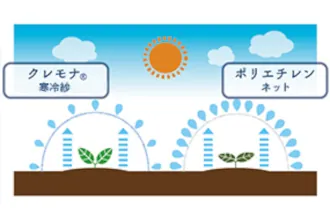 図2：蒸散防止効果