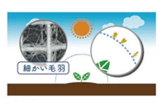 図5：細かい羽毛で侵入を軽減
